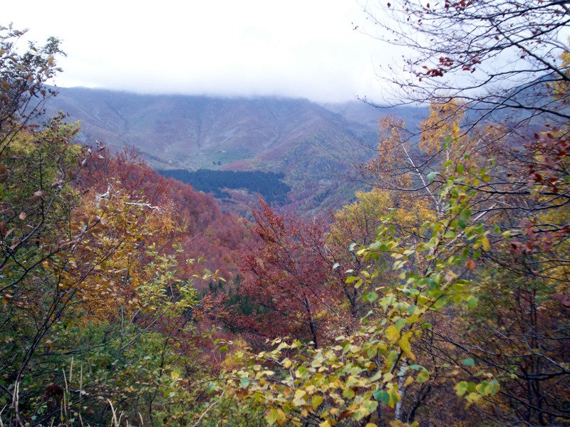 Carrellata di foto - Valle Cervo