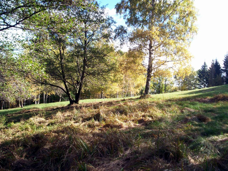 Carrellata di foto - Valle Cervo