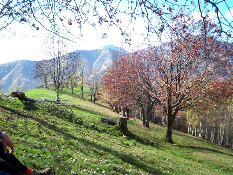 Alta valle Cervo  dalla Sella del Cucco