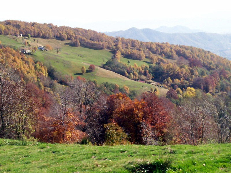 Carrellata di foto - Valle Cervo