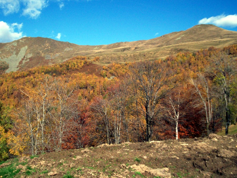 Carrellata di foto - Valle Cervo