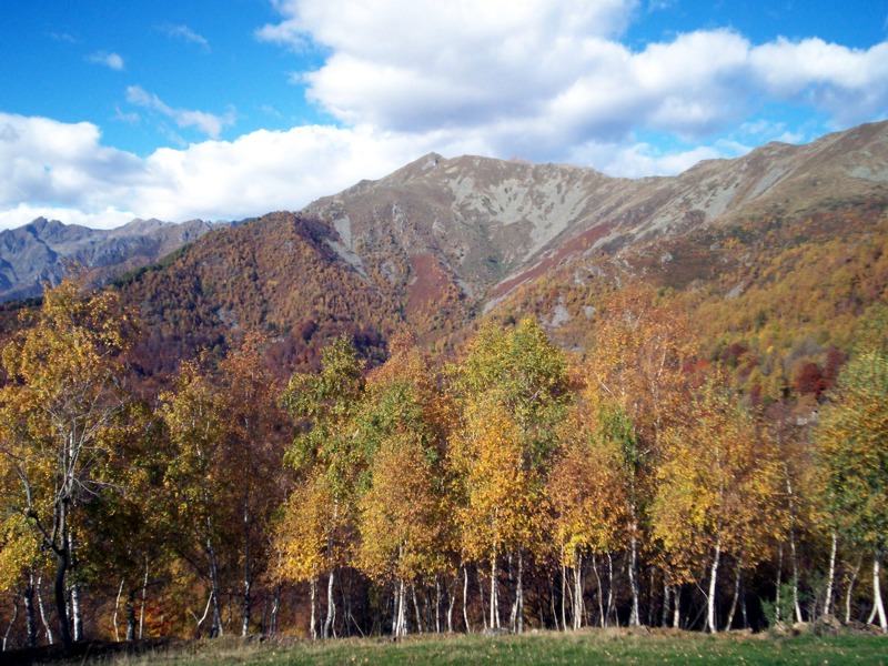 Carrellata di foto - Valle Cervo