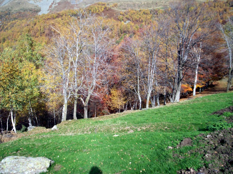 Carrellata di foto - Valle Cervo