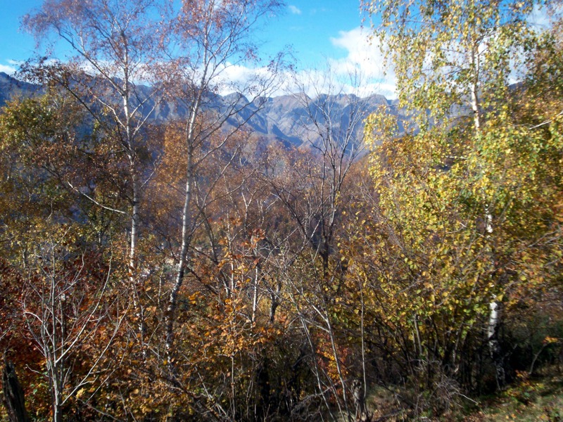 Carrellata di foto - Valle Cervo