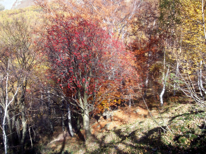 Alta valle Cervo  dalla Sella del Cucco