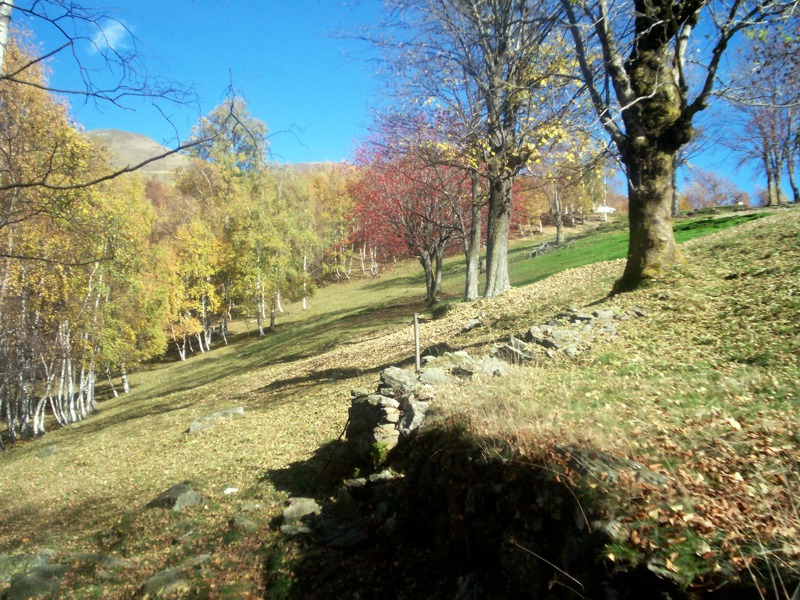 Alta valle Cervo  dalla Sella del Cucco