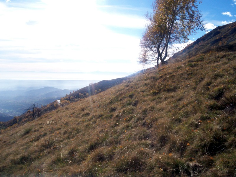 Carrellata di foto - Valle Cervo