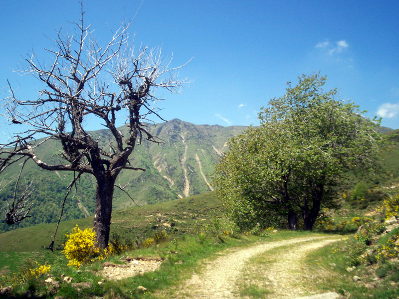 Punta Dormiolo - Val Sessera