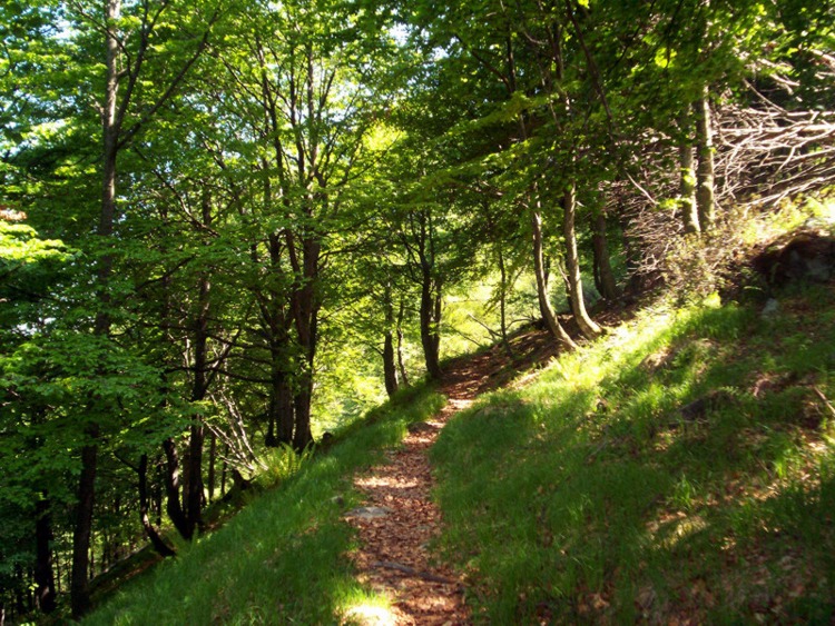 Punta Dormiolo - Val Sessera