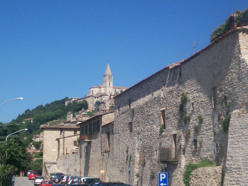 Todi