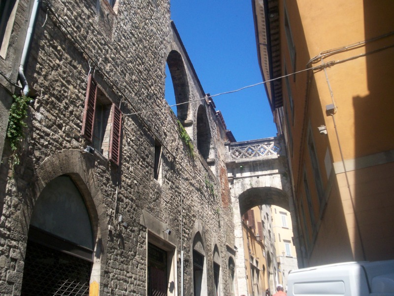 Todi