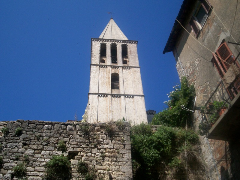 Todi