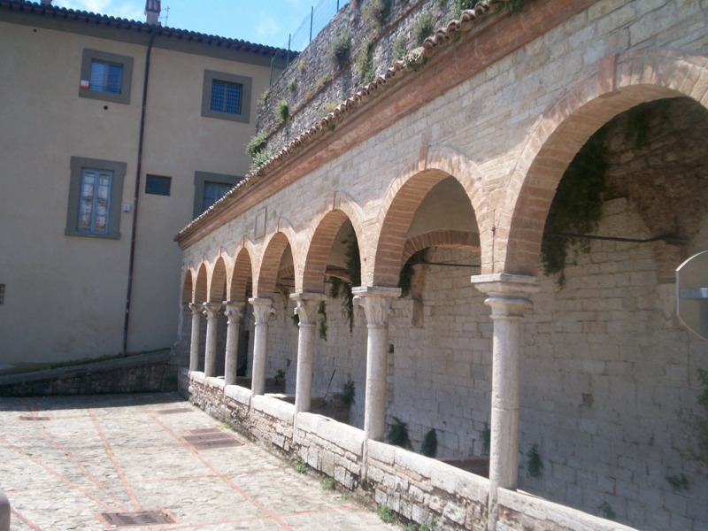 Todi