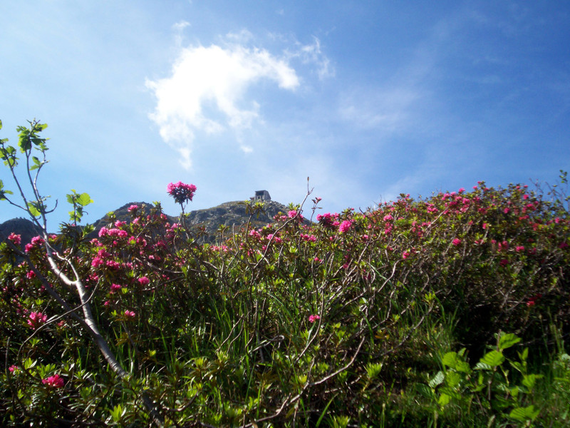 Monte Mucrone