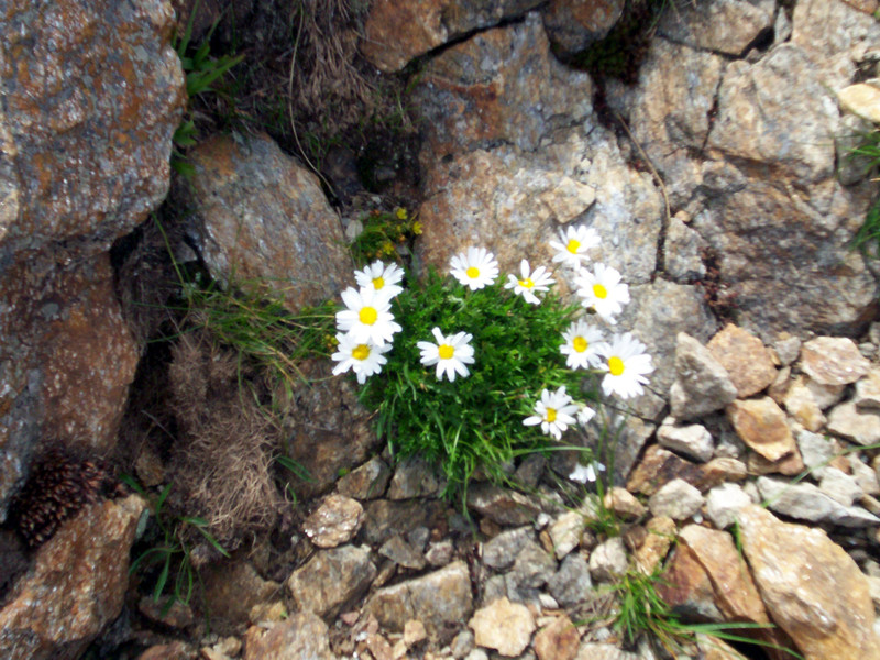 Monte Mucrone