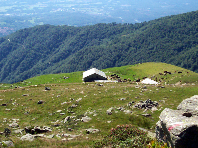 Piano del Turo