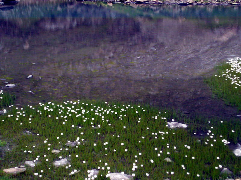 Laghi......della VALLE D''AOSTA