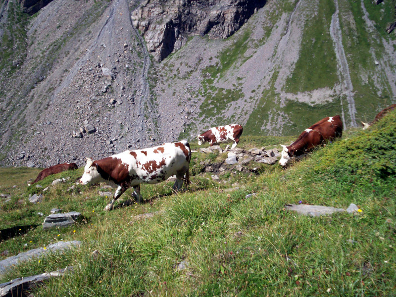 Colle di Bassa Serra