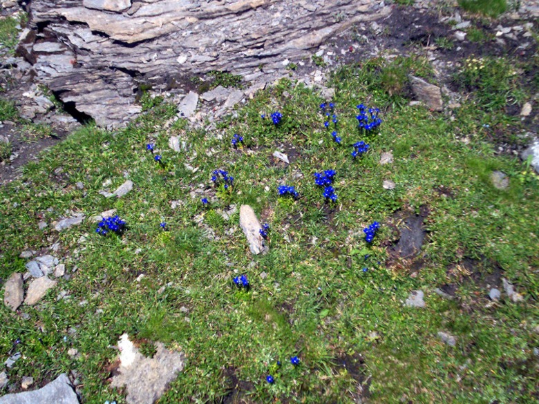 Colle di Bassa Serra