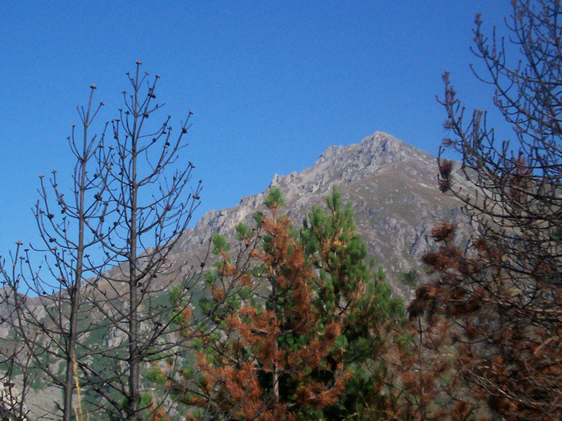 Monte Barone di Coggiola