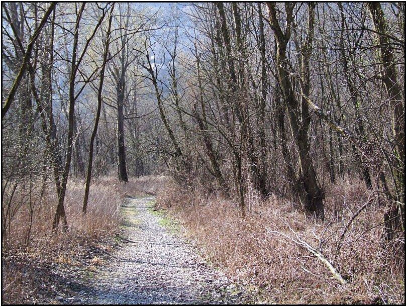 Riserva Naturale Bosco dei Bordighi