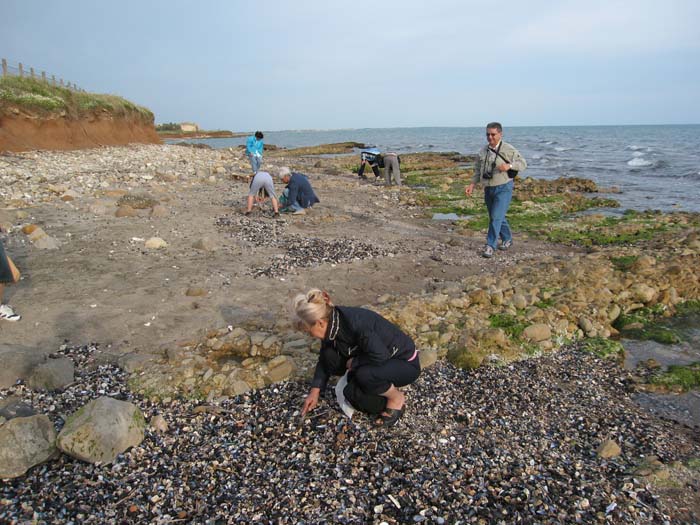 Ultime foto dell''incontro Natura Mediterraneo - 1^ parte