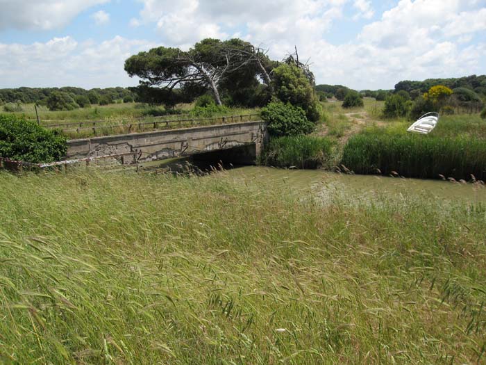 Ultime foto dell''incontro Natura Mediterraneo - 2^ parte