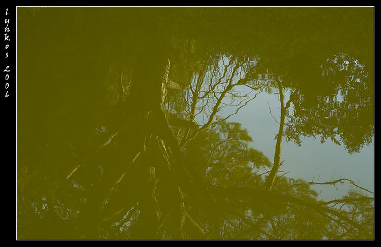 Canale dei Pescatori, Ostia, acqua verde, acqua torbida