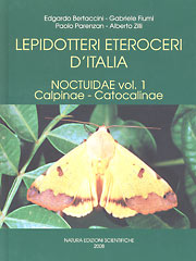 Noctuidae: Dysgonia algira?