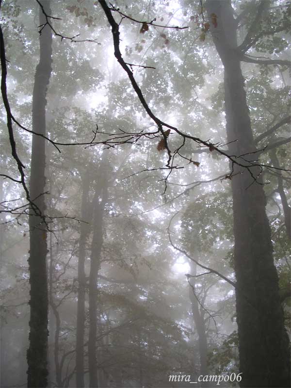 Atmosfera d''autunno in Basilicata