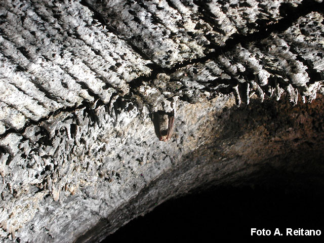 Una grotta vulcanica...inedita!