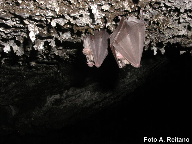 Una grotta vulcanica...inedita!