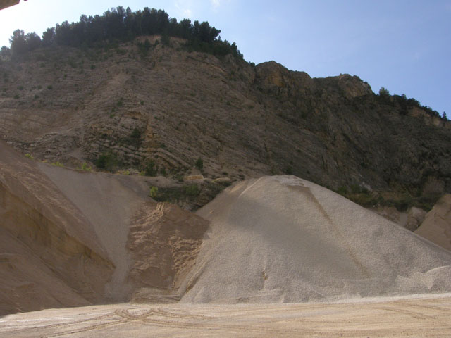 Fossili estinti...due volte