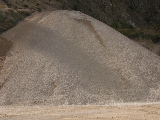 Fossili estinti...due volte