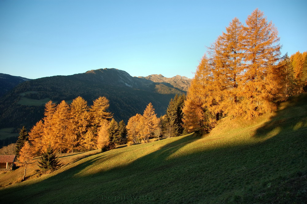 Cime Bianche di Telves