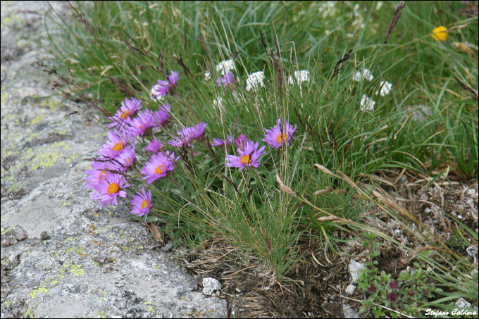 Passo di Cacciabella