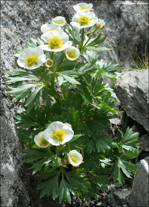 Passo di Cacciabella