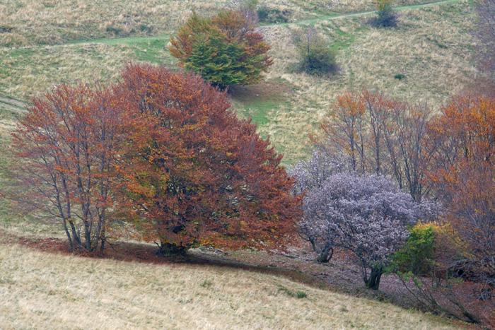 Autunno