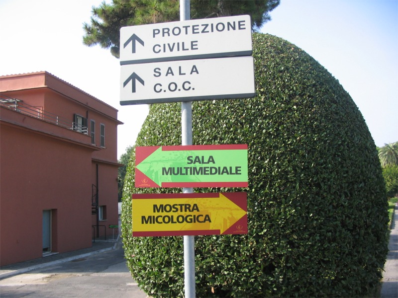 Mostra Micologica a Roma (28-30 Ottobre 2006)