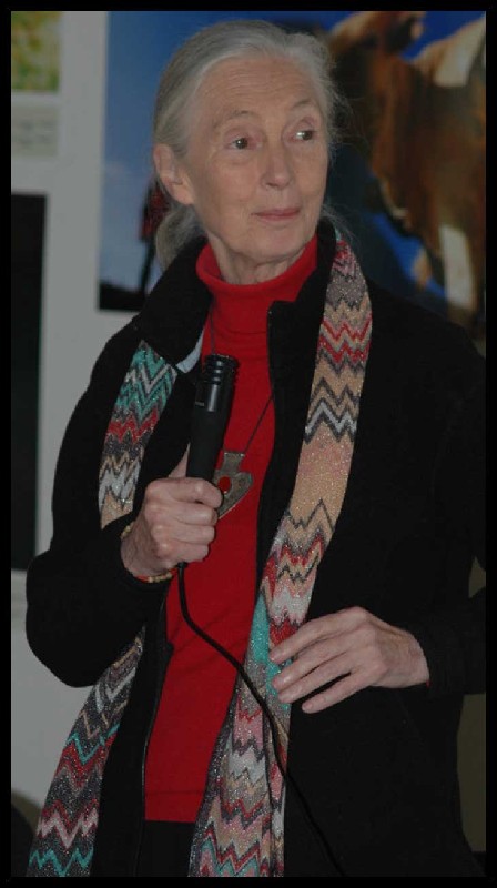 Jane Goodall a Roma