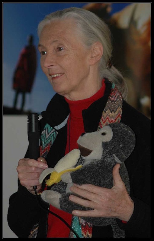 Jane Goodall a Roma