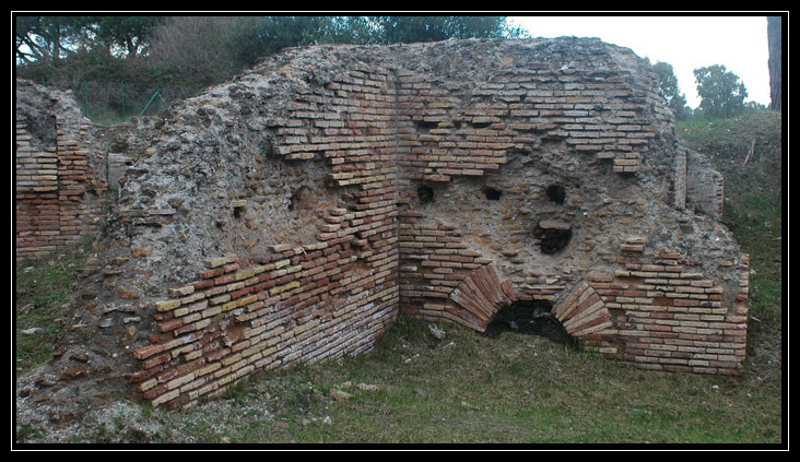 La Pineta di Procoio