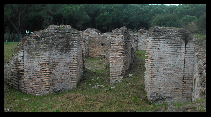 La Pineta di Procoio