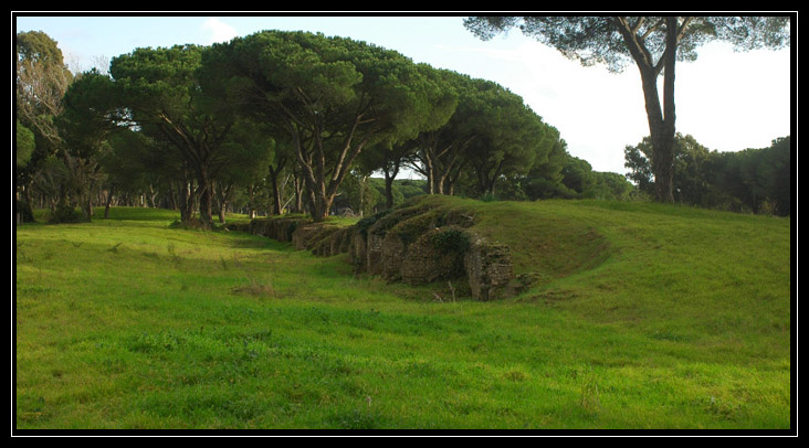 La Pineta di Procoio