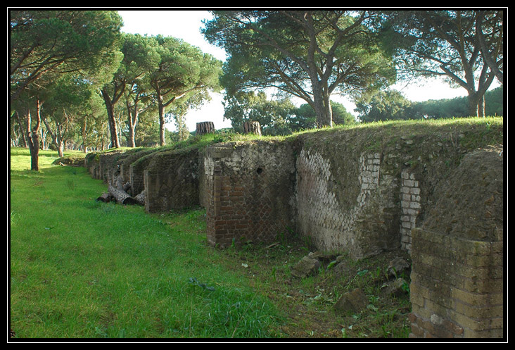 La Pineta di Procoio