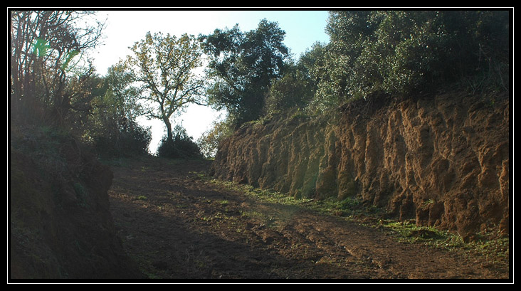 Una forra tufacea intorno a Ceri