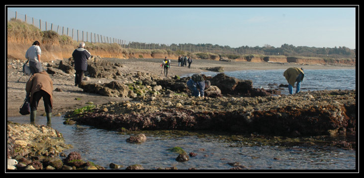 passeggiate malacologiche 2