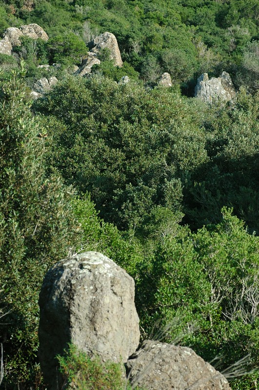 Le montagne di Sasso