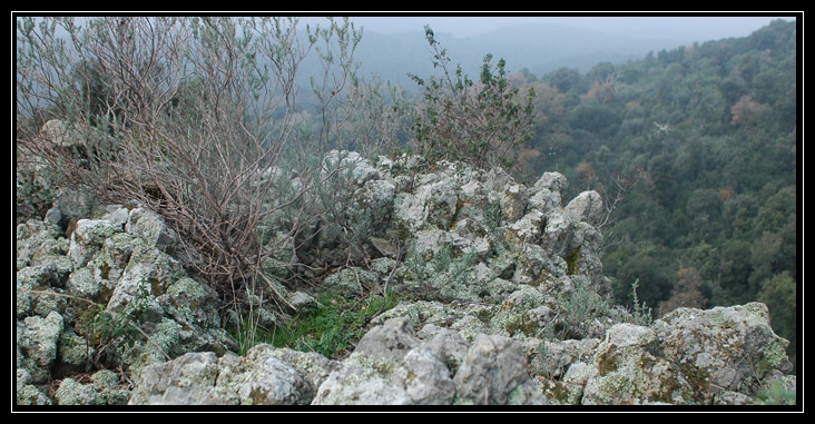 Monti Ceriti