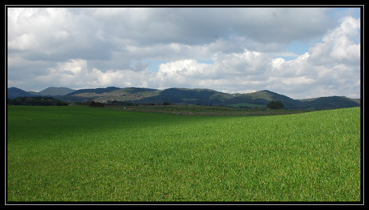 Cerveteri: via del Sepolcro